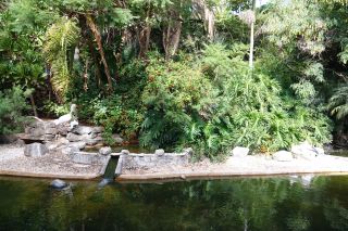 GC-Plalmitos Park 2019-050.JPG